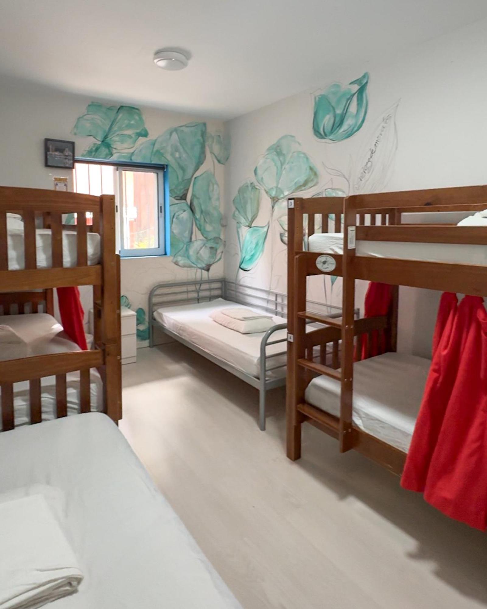 Tenerife Experience Hostel Санта Крус де Тенерифе Екстериор снимка